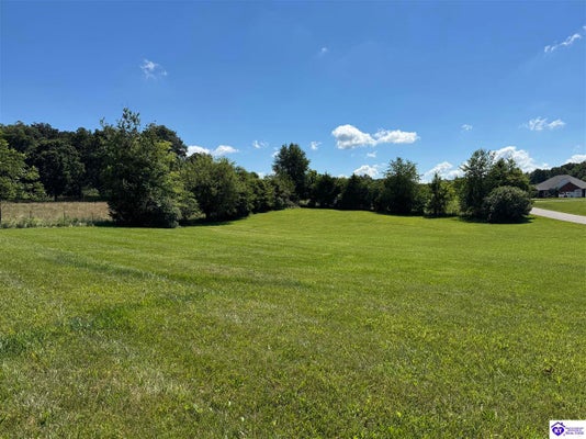22 DARTMORE CT, ELIZABETHTOWN, KY 42701 - Image df68c8479de3d63f49cc906cdb004d3c/3099523725