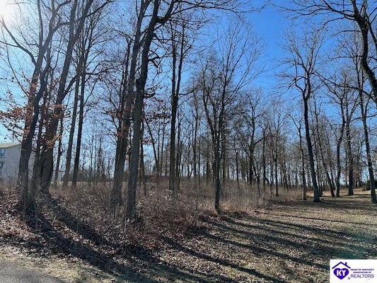 LOT 3 BUCK KNOBS ROAD, EKRON, KY 40117 - Image e082fd7deca1f3052ef46fec0a4ba59b/2547657214