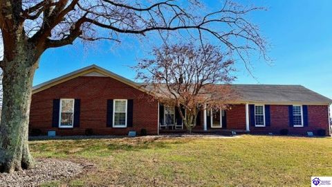 115 Poplar Avenue, Magnolia, KY 42757 - MLS#: HK25000854