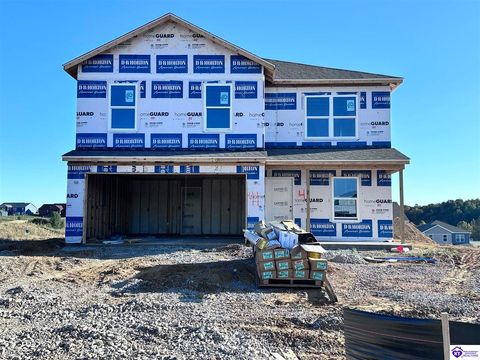 132 Ellis Park, Elizabethtown, KY 42701 - #: HK25004531