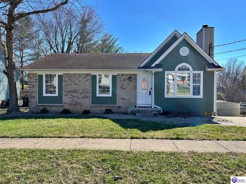 1304 Amanda Jo Drive, Elizabethtown, KY 42701 - MLS#: HK25001044