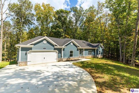 1035 Burns Road, Vine Grove, KY 40175 - #: HK25001216