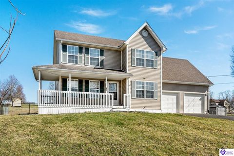 47 Delaney Court, Rineyville, KY 40172 - MLS#: HK25000945