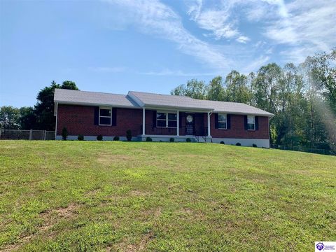 2424 Hill Street, Vine Grove, KY 40175 - #: HK25003934