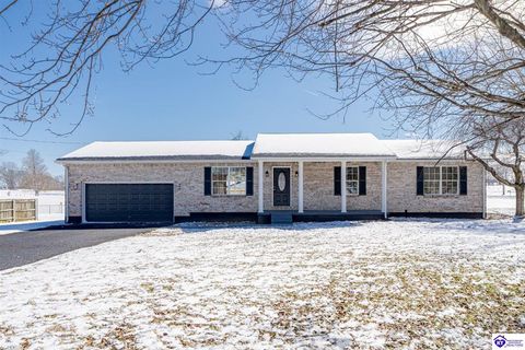 20 Peak Ln, Vine Grove, KY 40175 - MLS#: HK25000604
