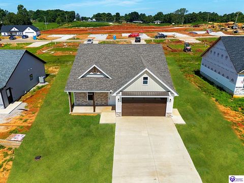 36 Robert Allen Lane, Brandenburg, KY 40108 - #: HK25003100