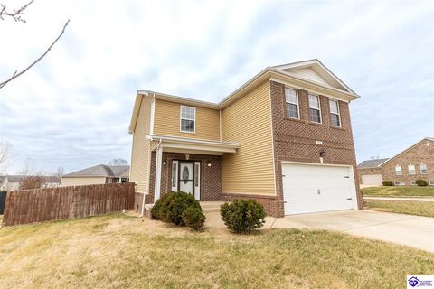 602 Napa Valley Court Vine Grove KY 40175