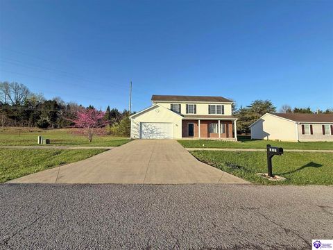 112 Alpine Drive, Vine Grove, KY 40175 - #: HK25001608