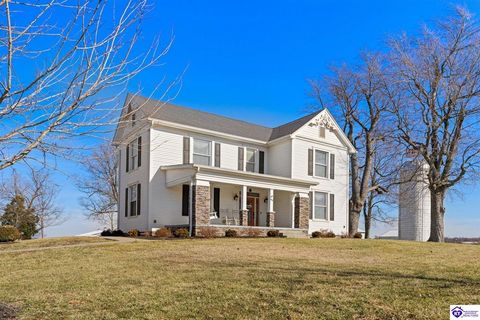 66 Osborne Road Rineyville KY 40162