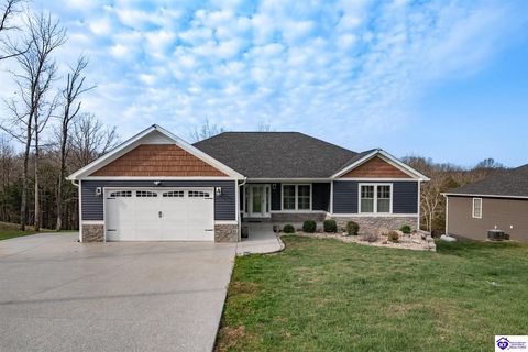 241 Woodview Drive, Brandenburg, KY 40108 - #: HK2601234