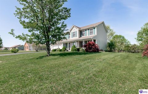 163 Chase Lake Road, Rineyville, KY 40162 - #: HK25001600