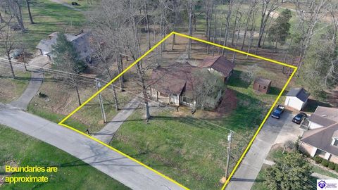 697 St Andrews Road, Brandenburg, KY 40108 - #: HK25005214