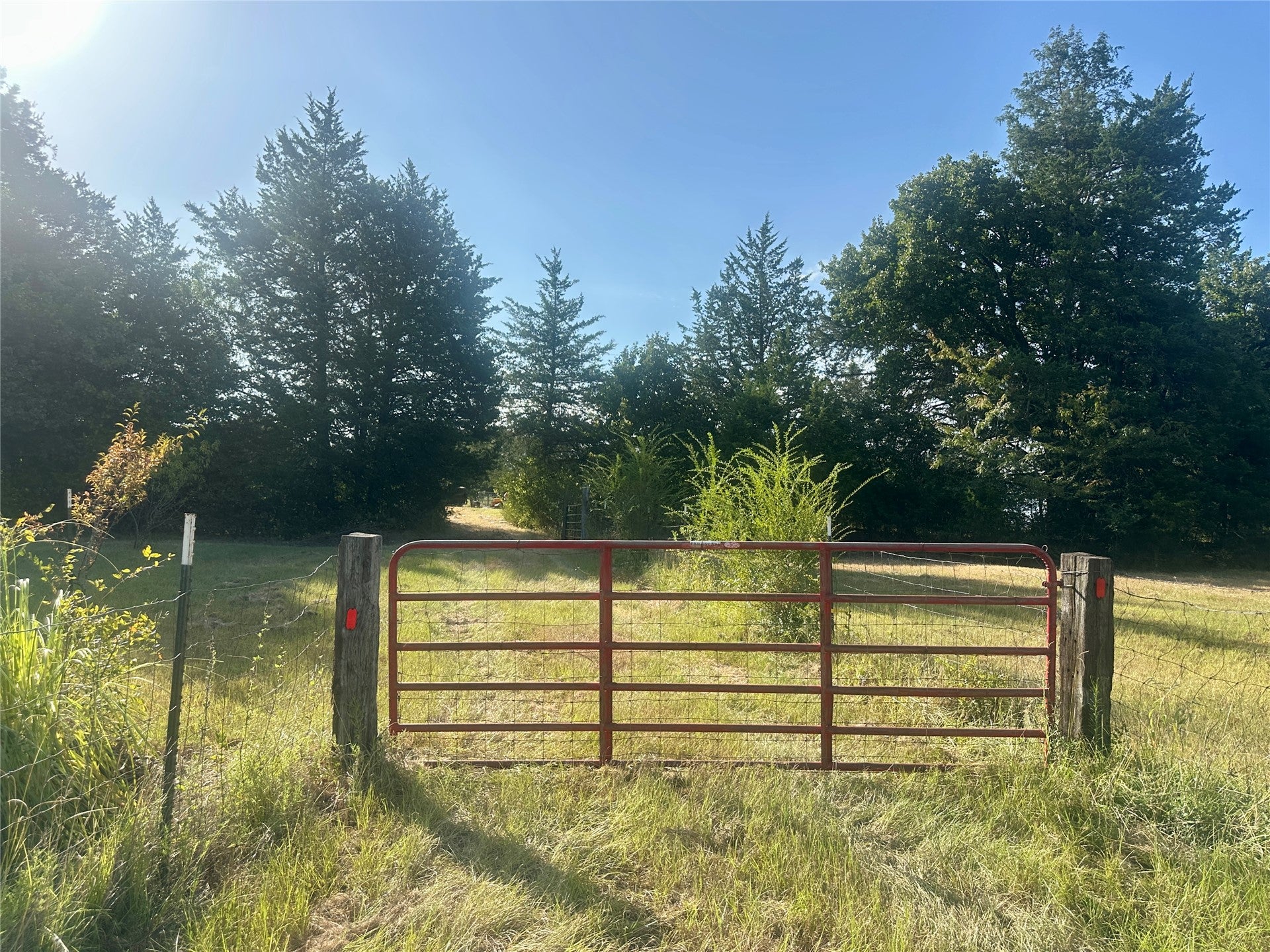 236 Reaves Lane