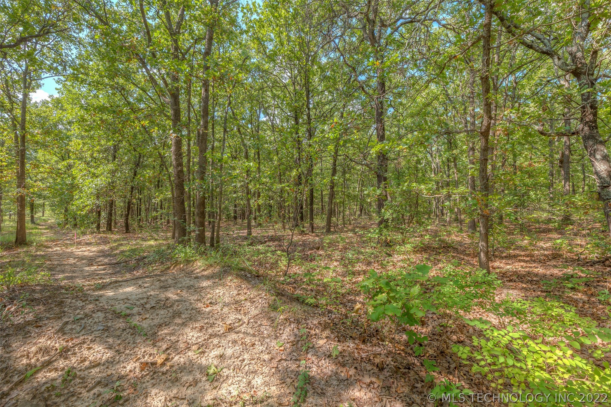 Photo 7 of 17 of E 202nd Street S land