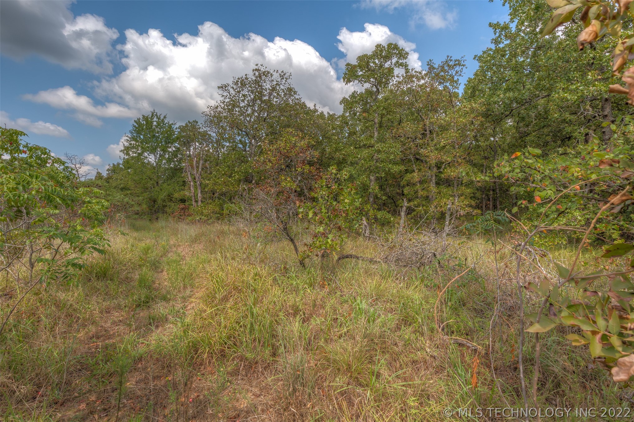 Photo 11 of 17 of E 202nd Street S land