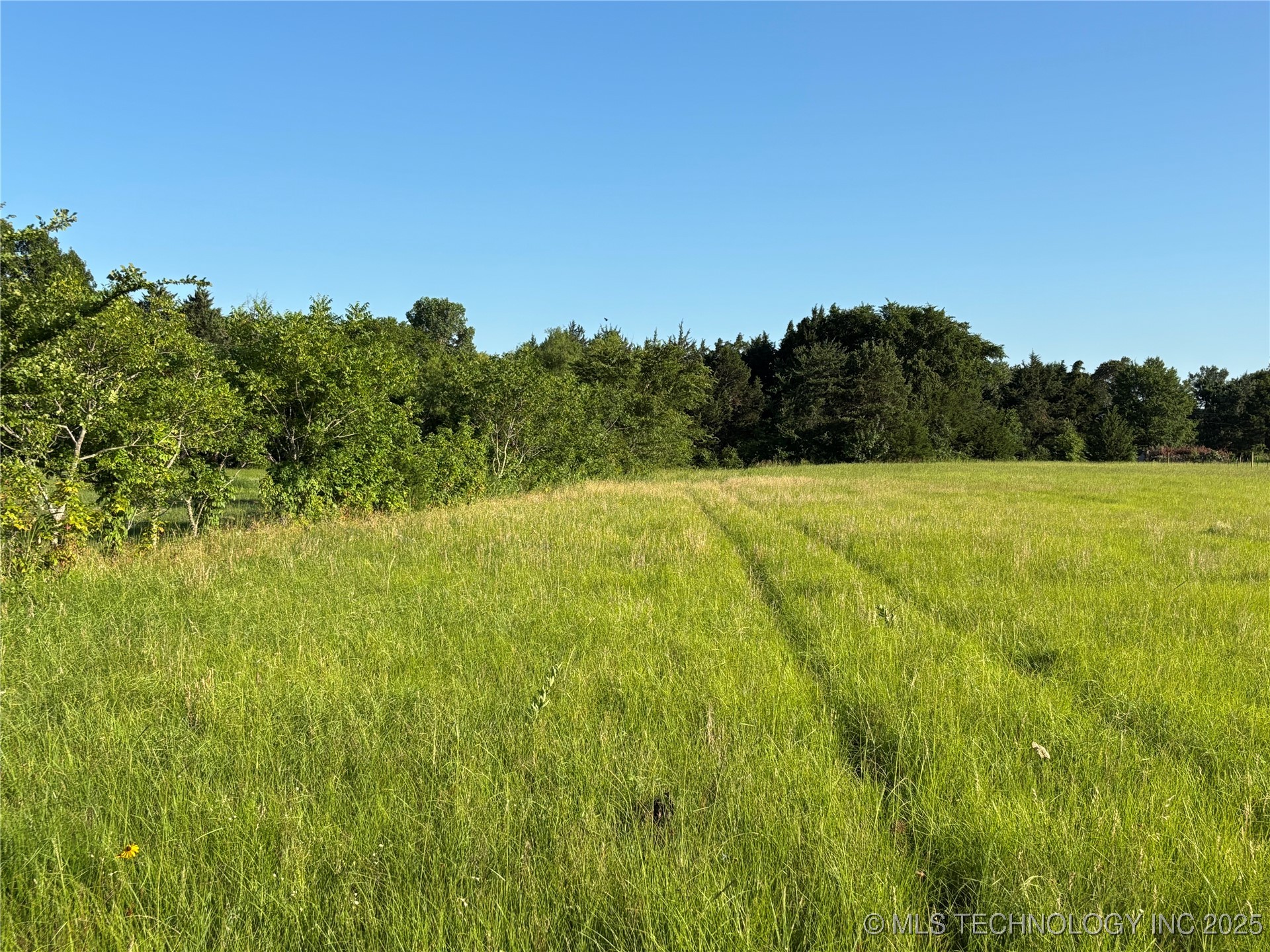 Deer Trail