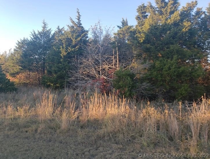 Photo 1 of 4 of 0 Golf Club Road land