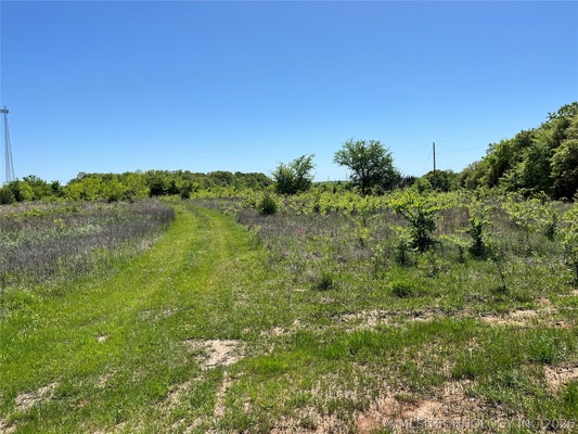 ENOS ROAD, KINGSTON, OK 73439 - Image 03628c271fef41fb7e0d481c6dbde284/3017455396