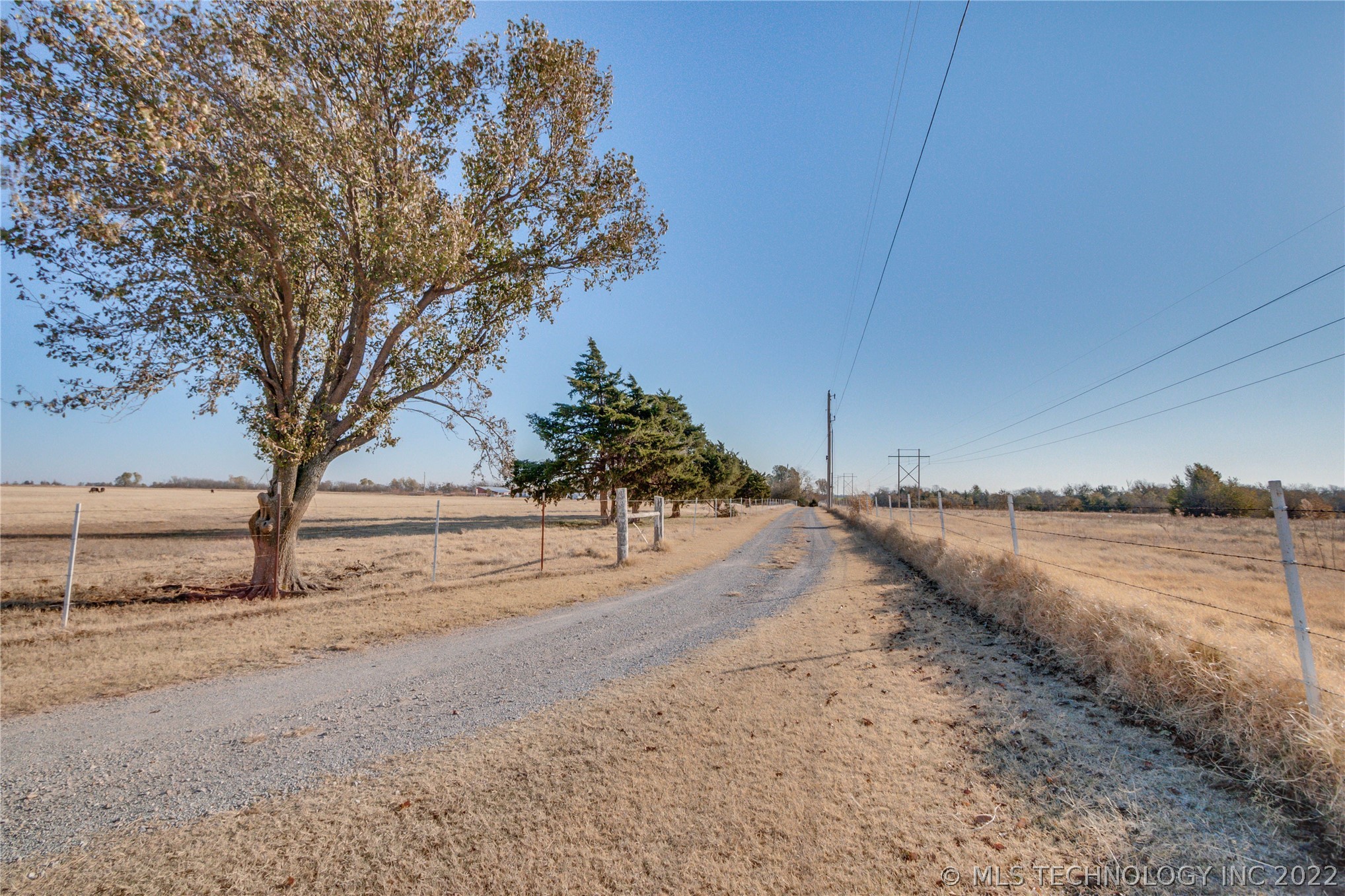 Photo 13 of 18 of 1642 County Road 1220 land