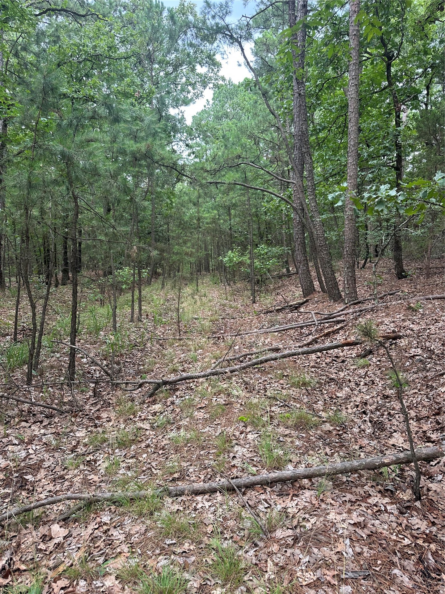 001 Johns Valley Road