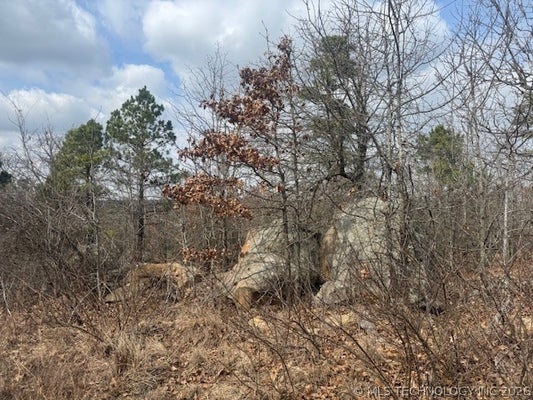 ADDRESS PRIVATE, CLAYTON, OK 74536 - Image 09418256d56d5debc19e2f5c393e5eff/952553623