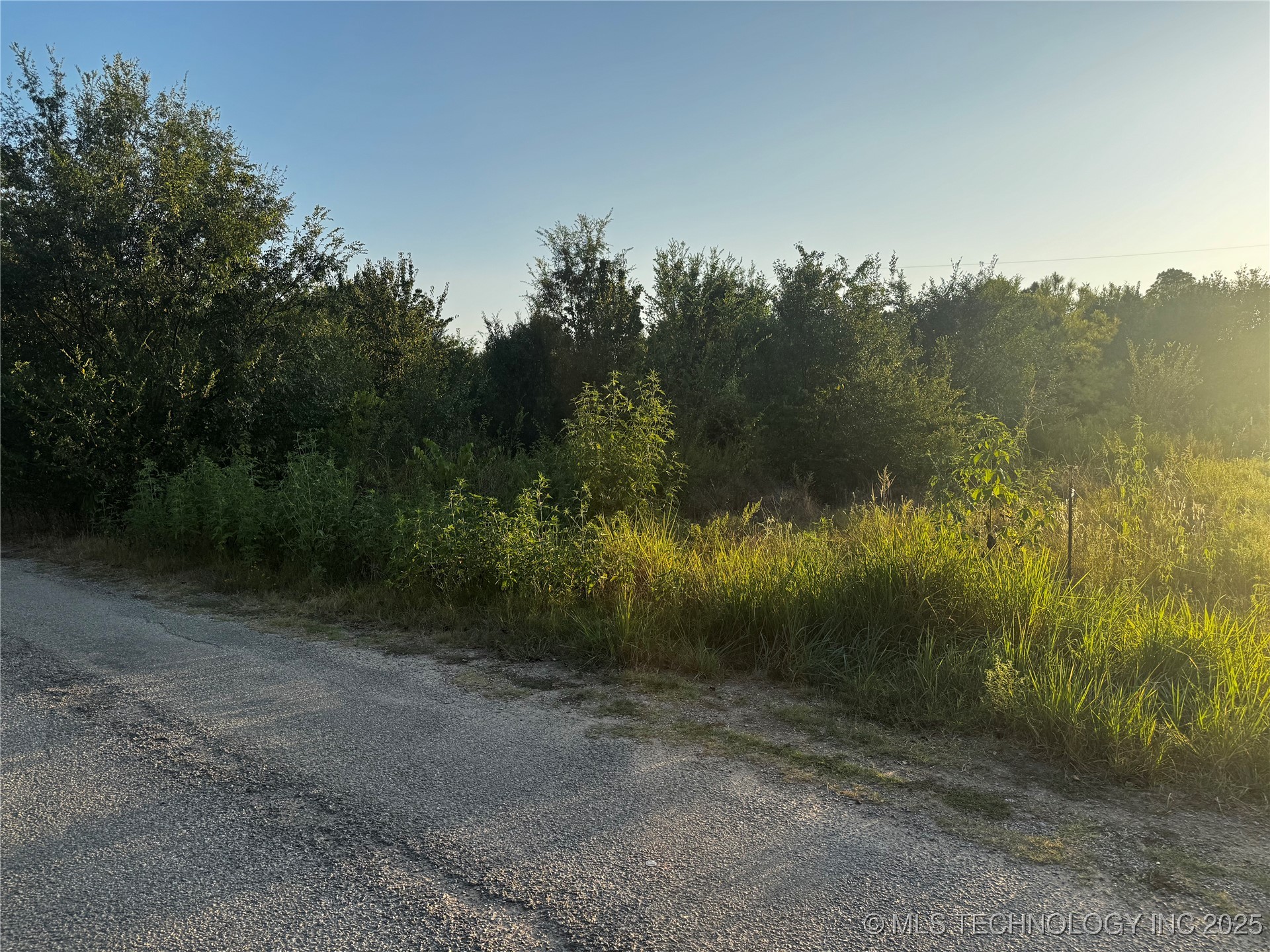 000 Bluebird Lane