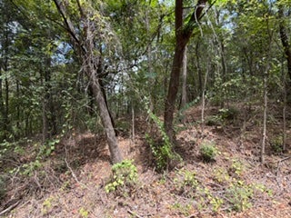 0000 E Arkansas