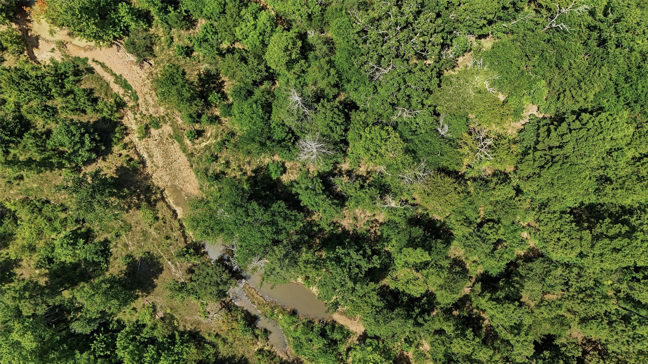 0001 Rattan Trail