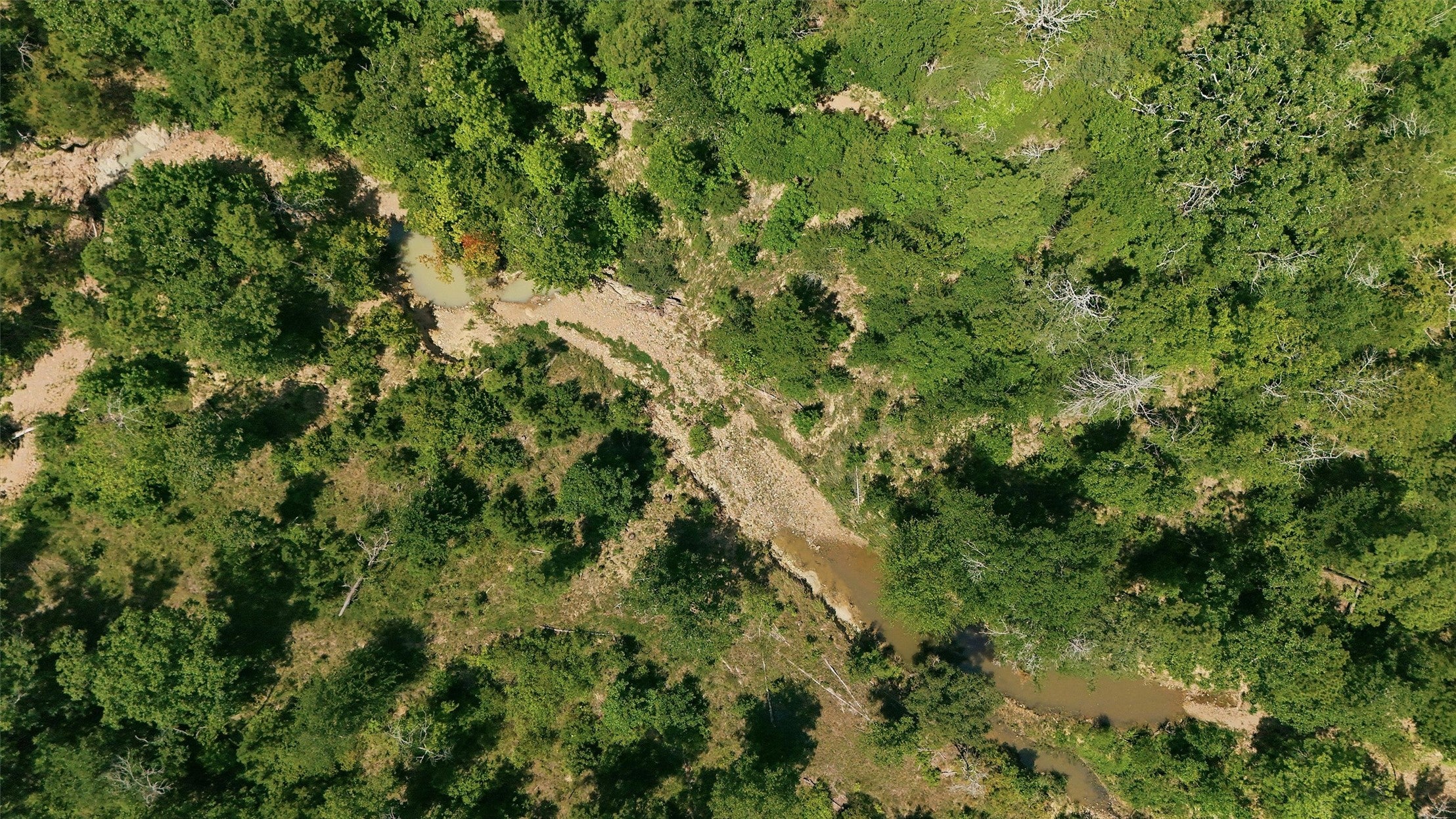0001 Rattan Trail