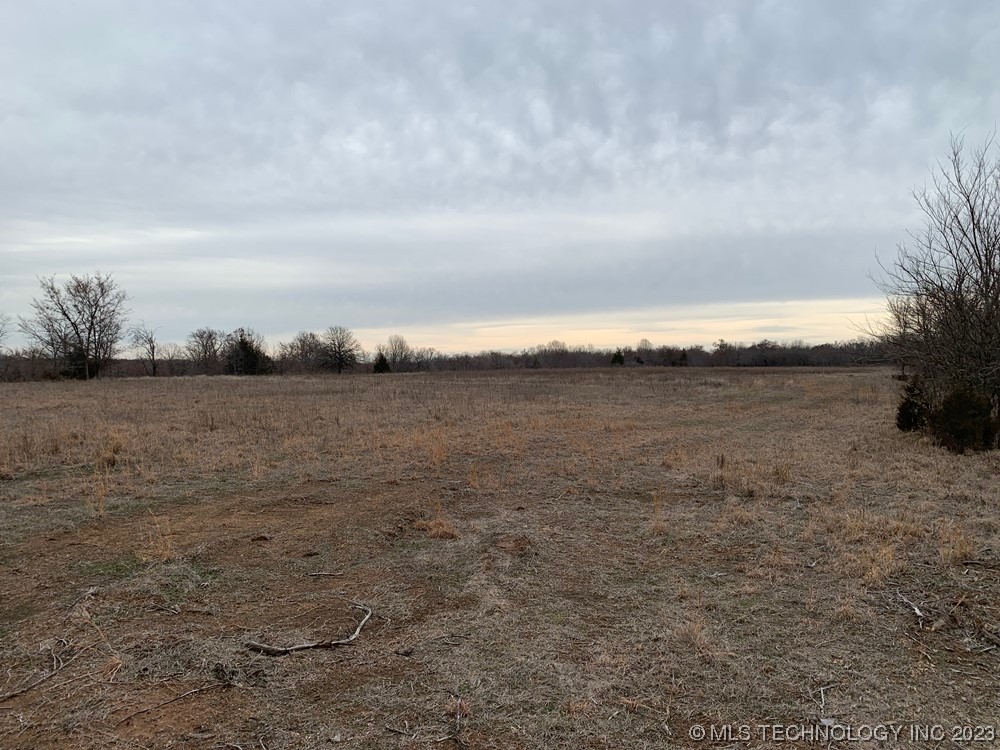 Photo 11 of 14 of 109035 N County Road 3850 Road land