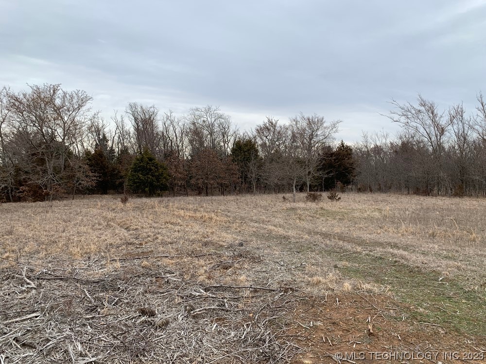 Photo 8 of 14 of 109035 N County Road 3850 Road land