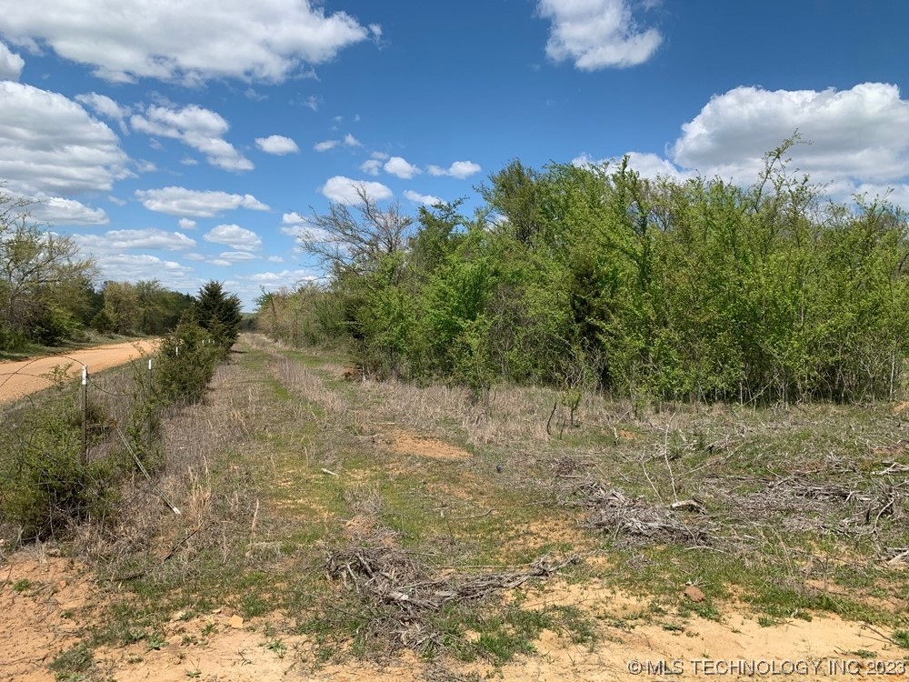 Photo 4 of 14 of 109035 N County Road 3850 Road land
