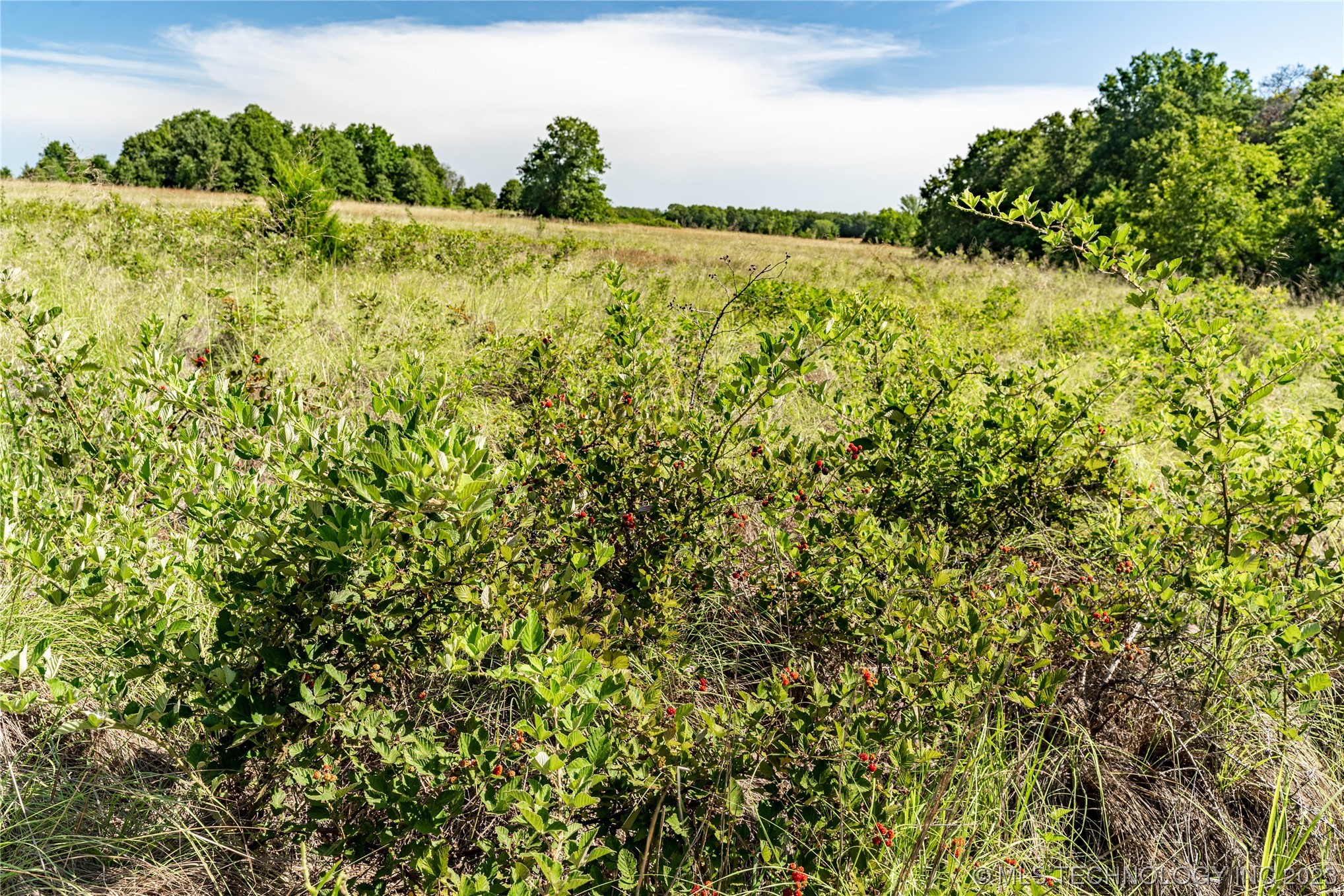 Photo 14 of 17 of S 337th Avenue land