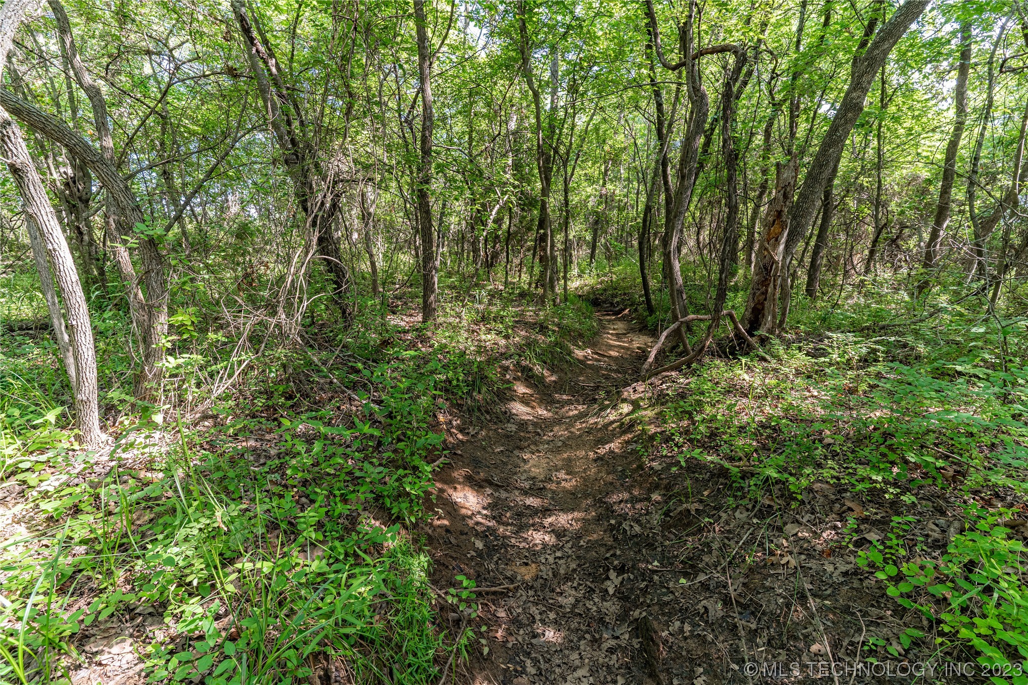 Photo 13 of 17 of S 337th Avenue land