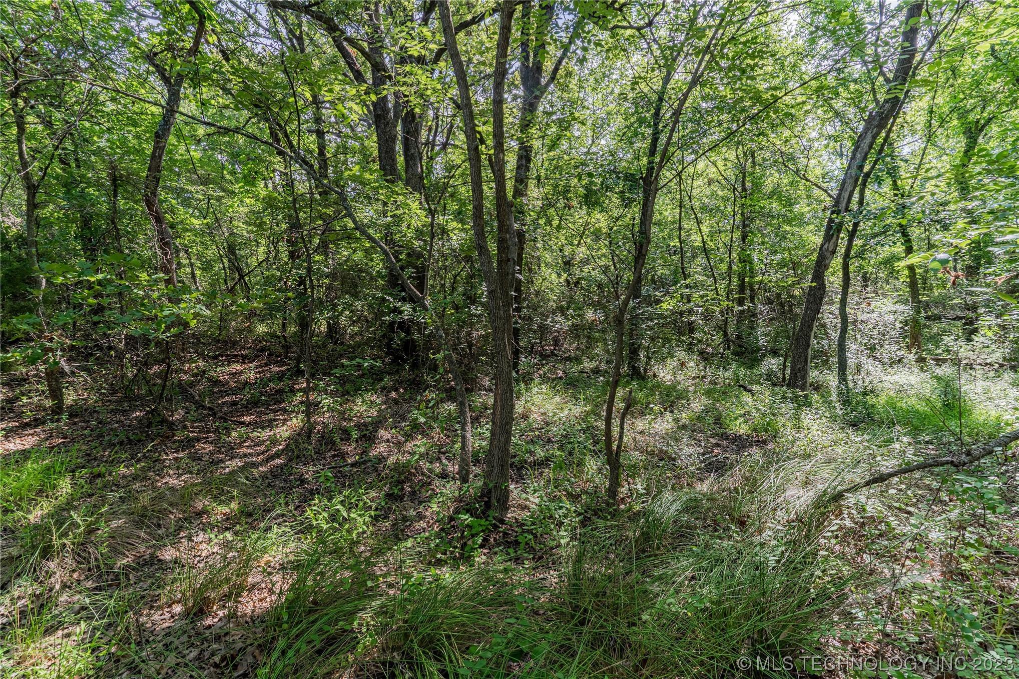 Photo 12 of 17 of S 337th Avenue land