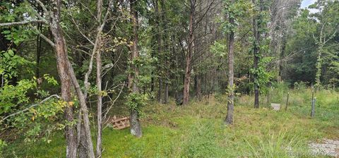 Photo of 100134 S 4460 Road, Gore, OK 74435 (MLS # 2540627)