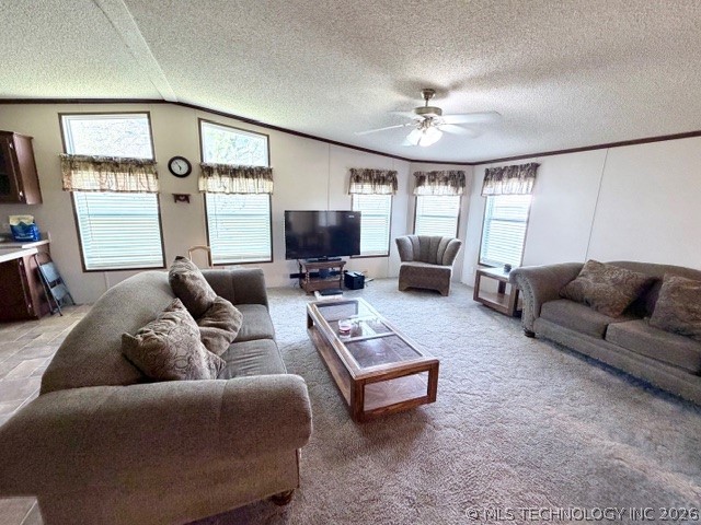 503 State Highway 70 N