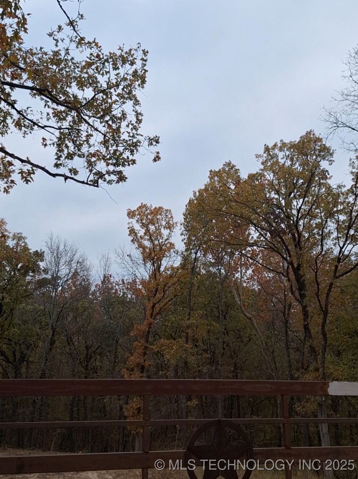 Dogwood Lane