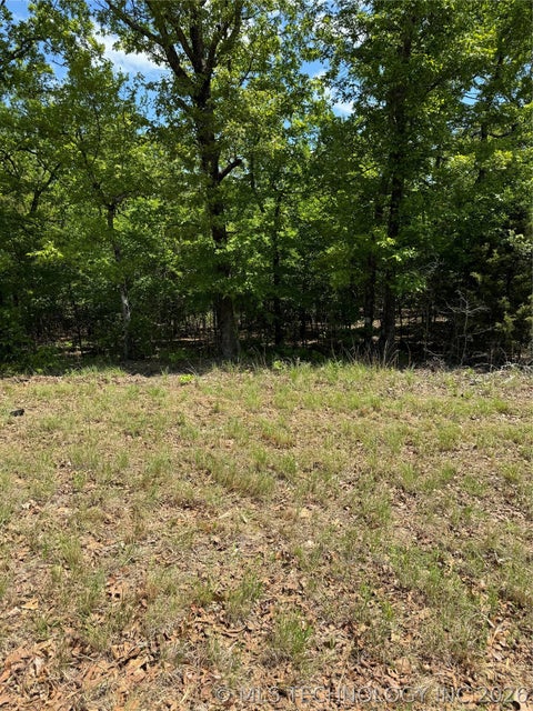 Photo of 11 S 4532 Road, Vian, OK 74962 (MLS # 2622580)