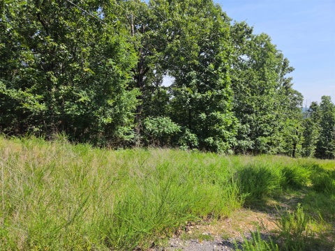 Photo of W Horseshoe Drive, Cookson, OK 74451 (MLS # 2615879)
