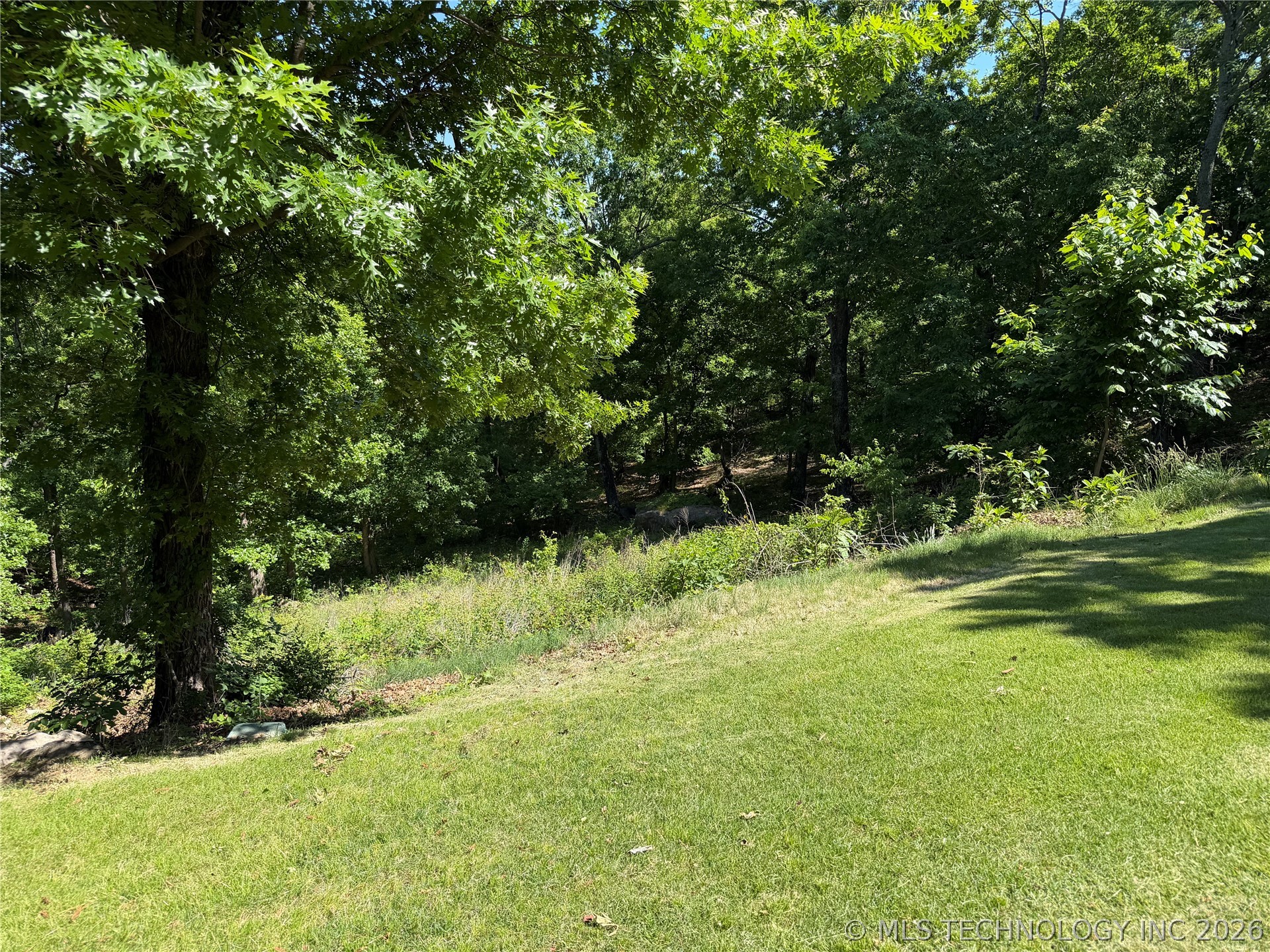 Expansive green lawn with a gentle slope, bordered