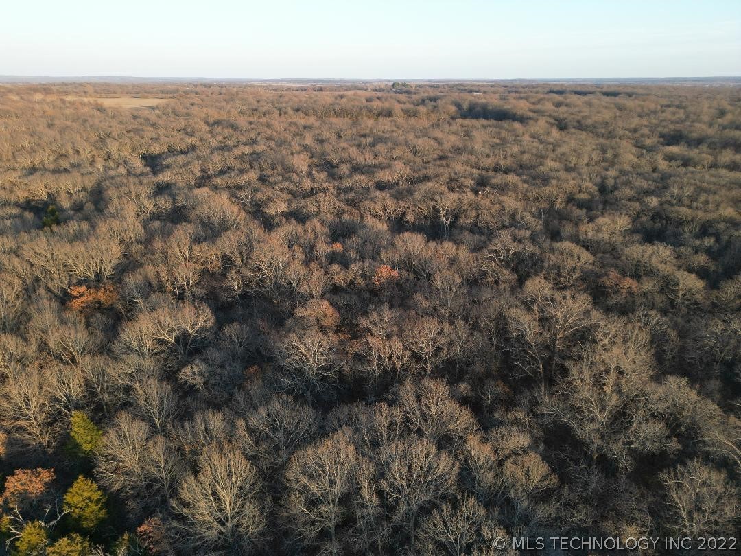 Photo 31 of 44 of 374099 E County Road 1140 Road land