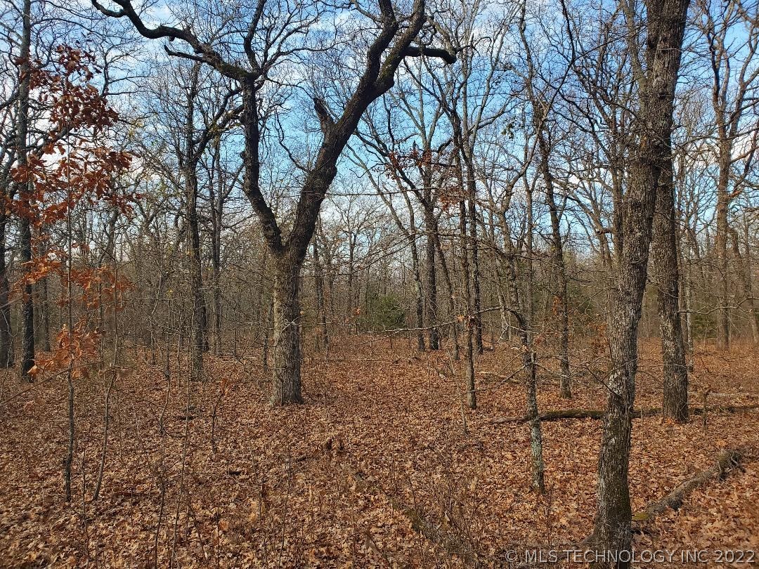 Photo 12 of 44 of 374099 E County Road 1140 Road land
