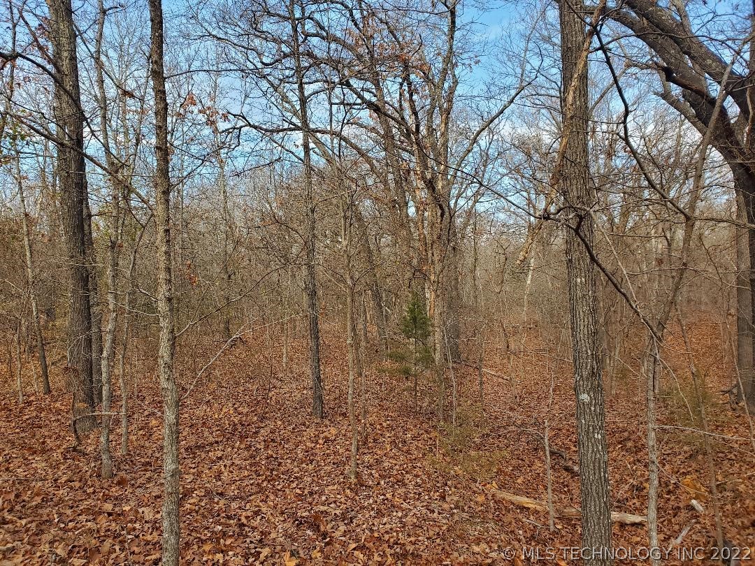 Photo 4 of 44 of 374099 E County Road 1140 Road land