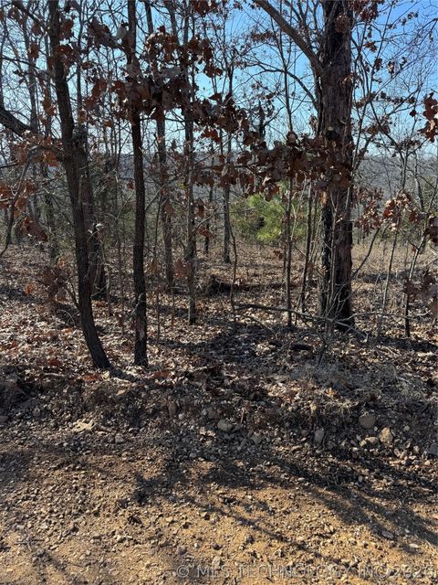 Photo of 1 S 4556 Road, Vian, OK 74962 (MLS # 2608898)
