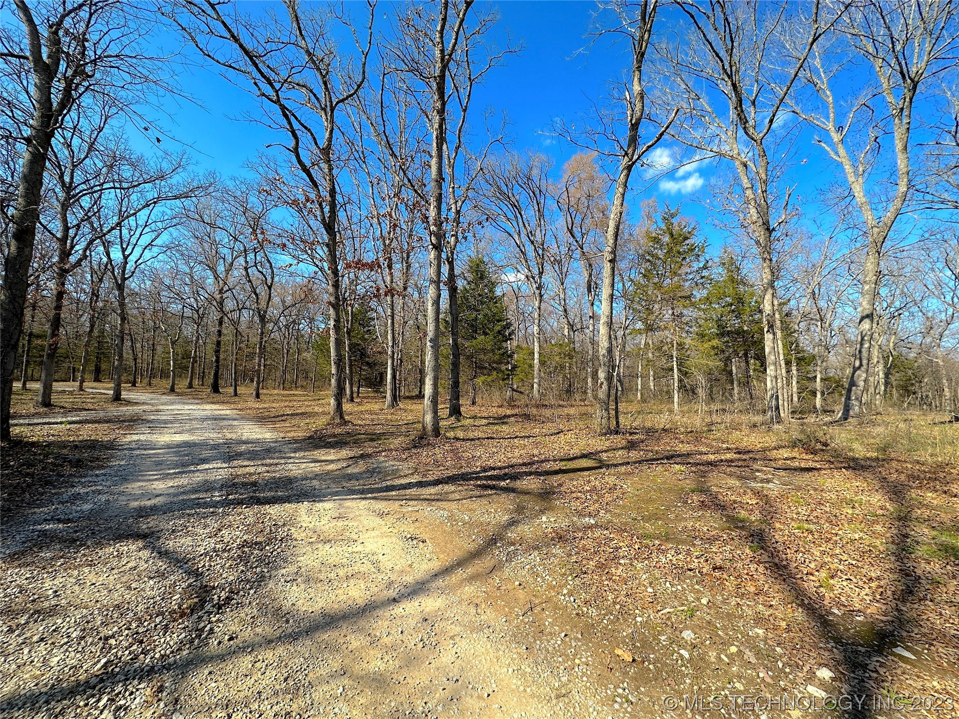 Photo 1 of 10 of 0 S 137th Avenue W land