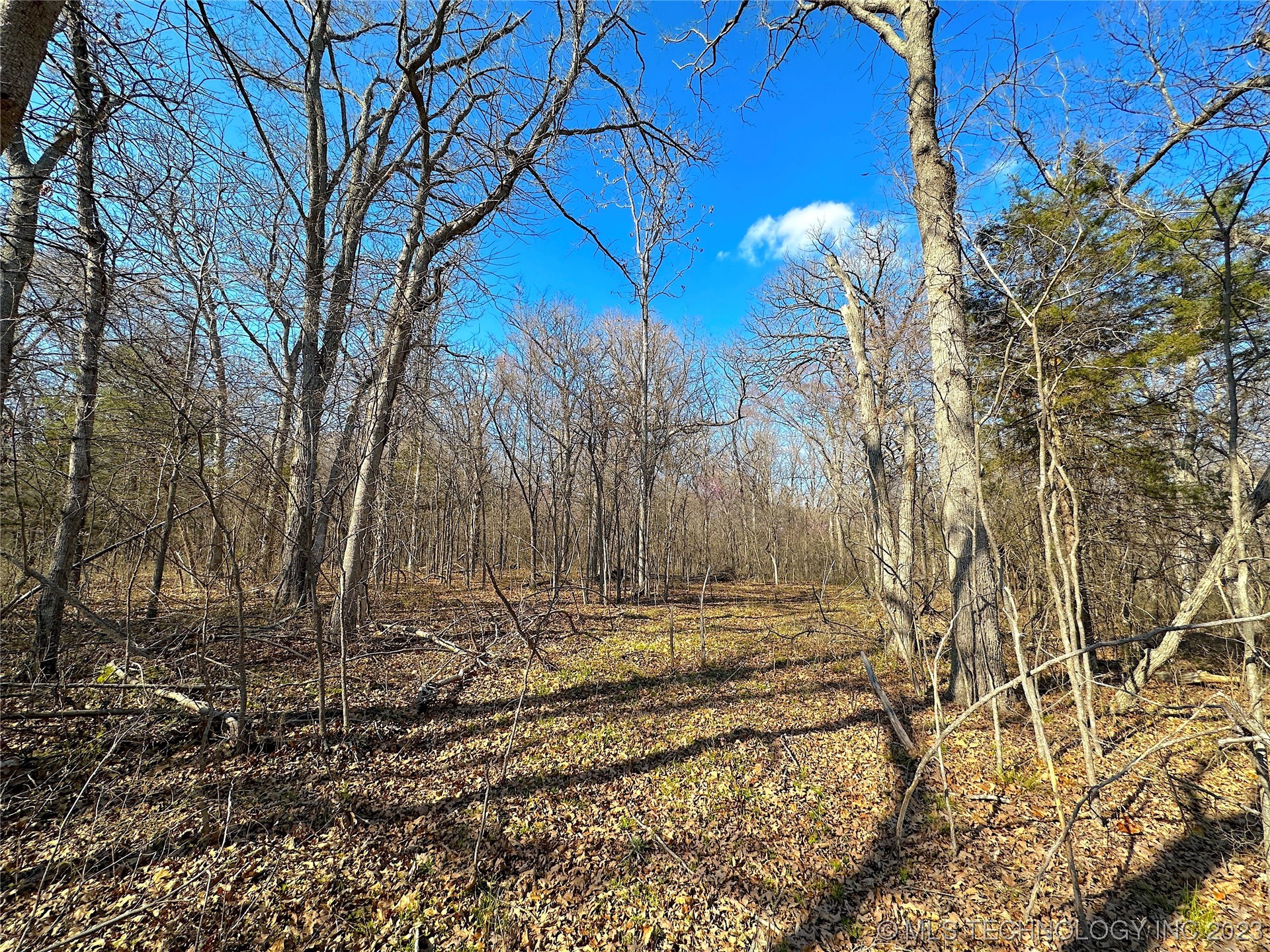 Photo 5 of 10 of 0 S 137th Avenue W land