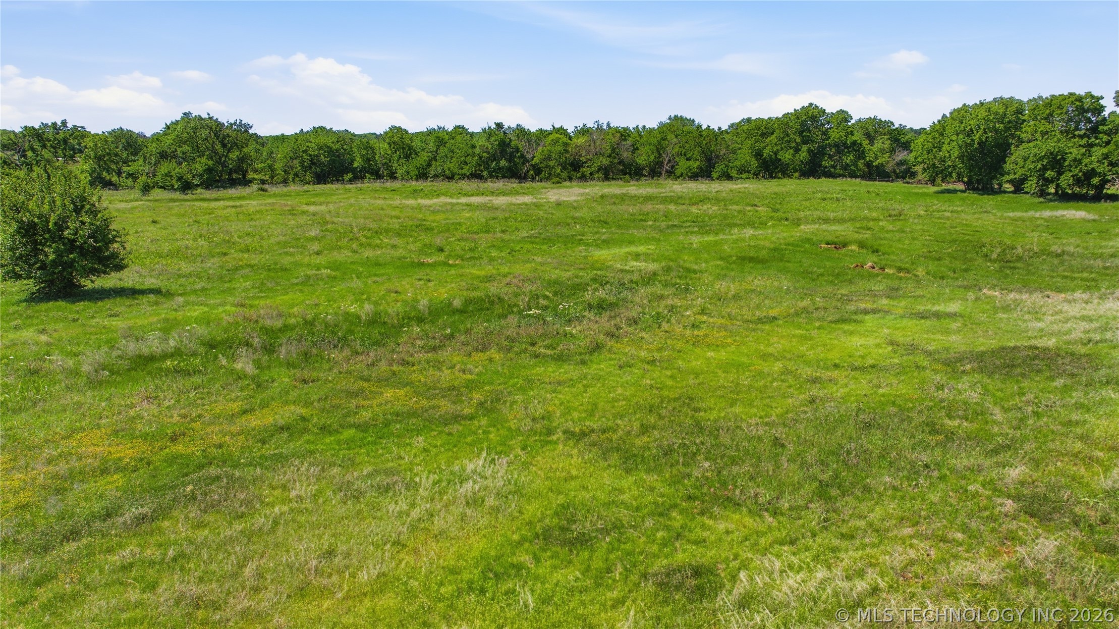 Expansive undeveloped land featuring a gravel road