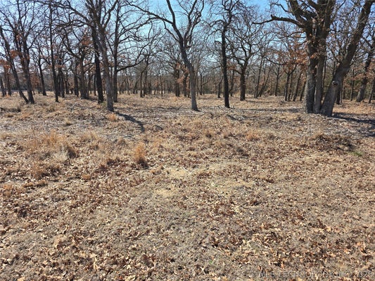 348646 E PARKSIDE DR, PAWNEE, OK 74058 - Image 2566ccd6ce190dcb10652a73cd82cbb2/298996591