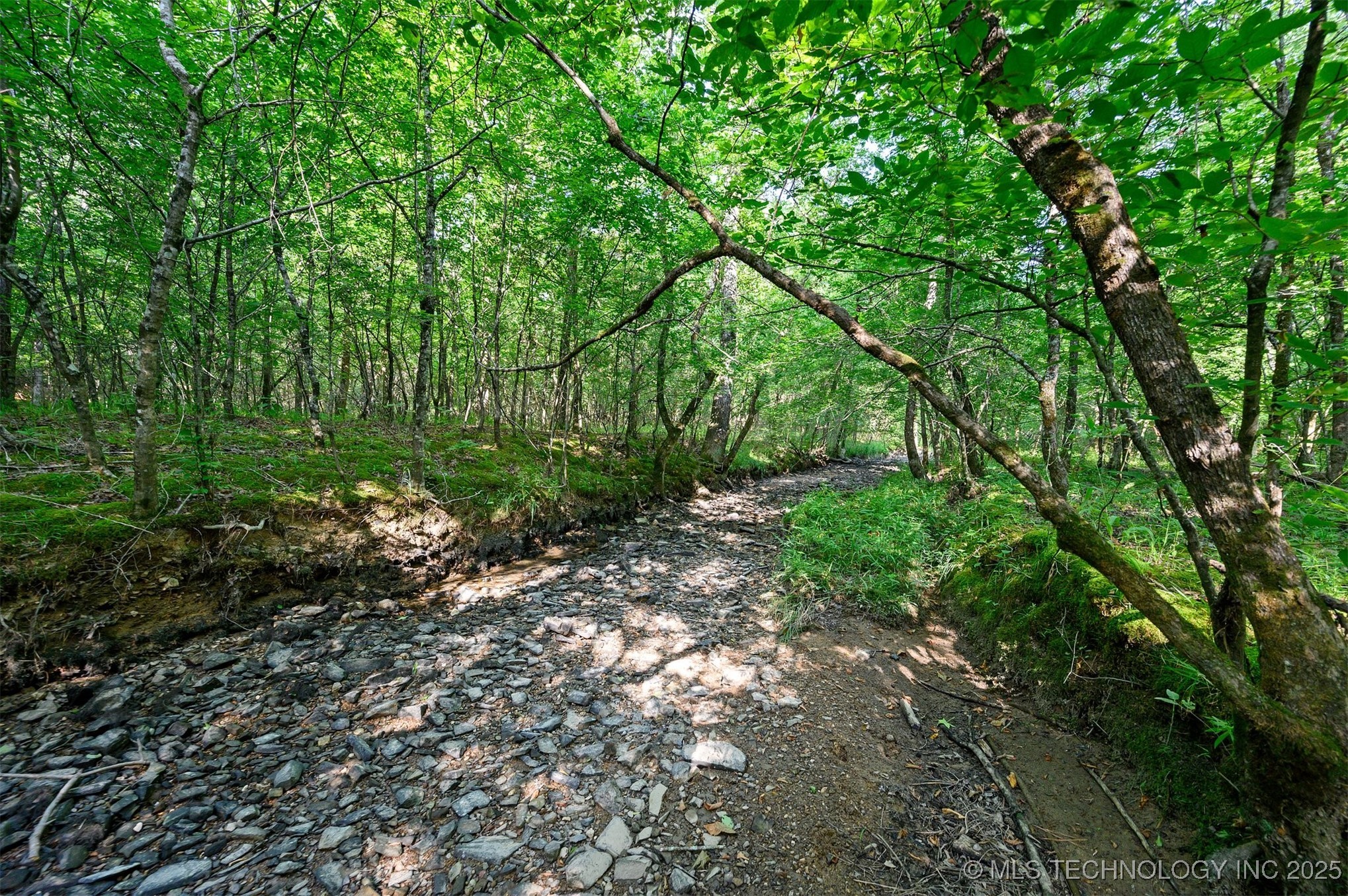 66 Aged Acacia Trail